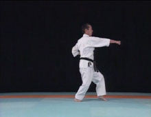 Complete Karate Kata of Wadokai Vol 1 DVD - Budovideos Inc