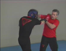 Wing Tsun Combat Program DVD by Victor Gutierrez - Budovideos Inc