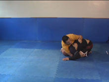 Killer Butterfly & Human Crucifix 3 DVD Set by Nino Schembri - Budovideos Inc