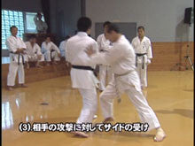 Seiji Nishimura Kumite Technique Seminar Vol 5 DVD - Budovideos Inc