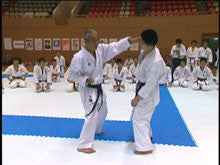Seiji Nishimura's Kumite Technique Seminar 7 DVD - Budovideos Inc