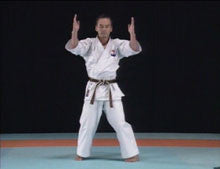 Complete Karate Kata of Wadokai Vol 1 DVD - Budovideos Inc