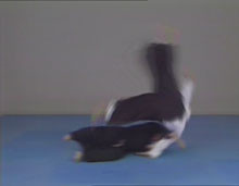 Advanced Aikido by Alfonso Longueira - Budovideos Inc