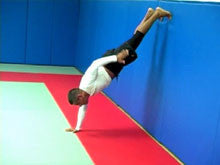 Ginastica Natural for Fighters II DVD with Alvaro Romano - Budovideos Inc