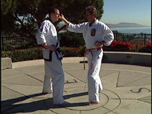 Complete Okinawa Isshin Ryu Karate System 4 DVD Set by Kim Murray - Budovideos Inc