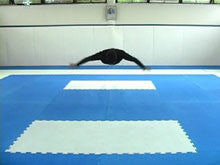 Ginastica Natural for Fighters II DVD with Alvaro Romano - Budovideos Inc