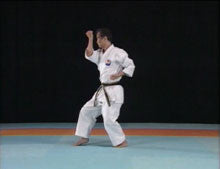 Complete Karate Kata of Wadokai Vol 2 DVD - Budovideos Inc