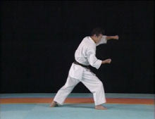 Complete Karate Kata of Wadokai Vol 2 DVD - Budovideos Inc