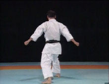 Complete Karate Kata of Wadokai Vol 2 DVD - Budovideos Inc