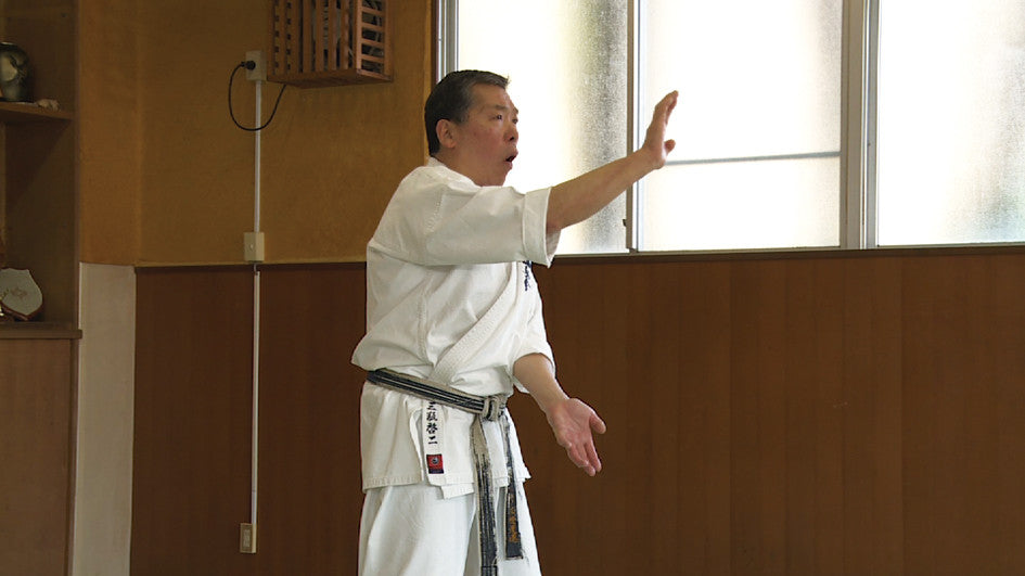 Shin Kyokushinkai Karate Power of Skill DVD by Keiji Sanpei - Budovideos Inc