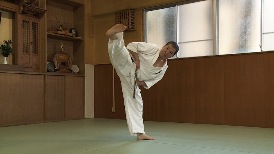 Shin Kyokushinkai Karate Power of Skill DVD by Keiji Sanpei - Budovideos Inc