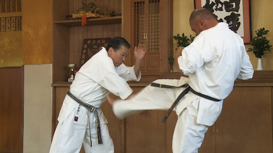 Shin Kyokushinkai Karate Power of Skill DVD by Keiji Sanpei - Budovideos Inc