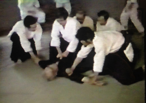 Aiki of Kodo Horikawa DVD with Osamu Makita - Budovideos Inc