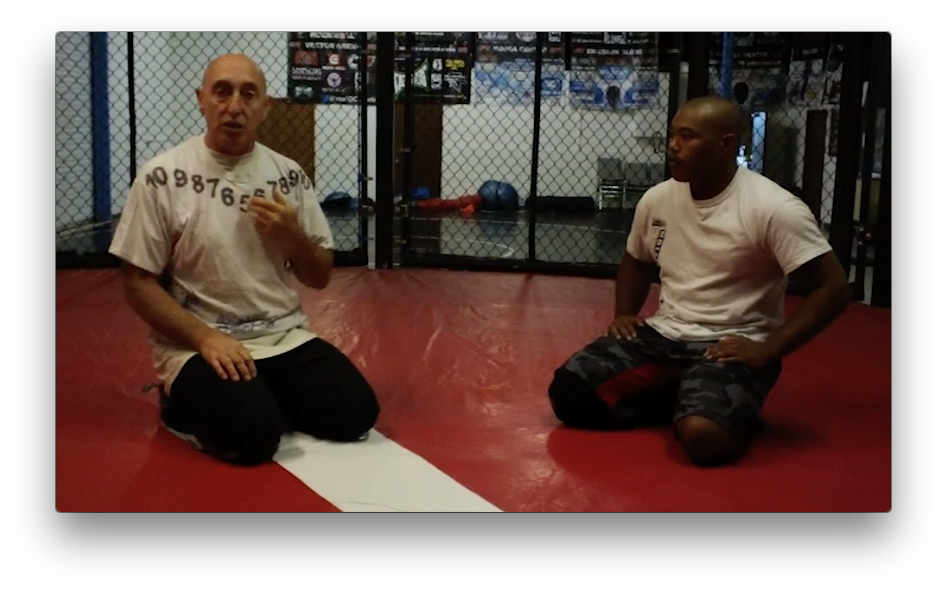 The Pinisher: Pinning for Grappling and MMA by Wade Schalles (On Demand) - Budovideos Inc