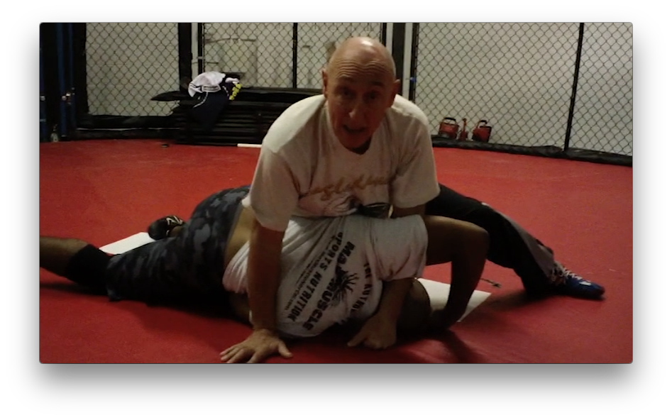The Pinisher: Pinning for Grappling and MMA by Wade Schalles (On Demand) - Budovideos Inc