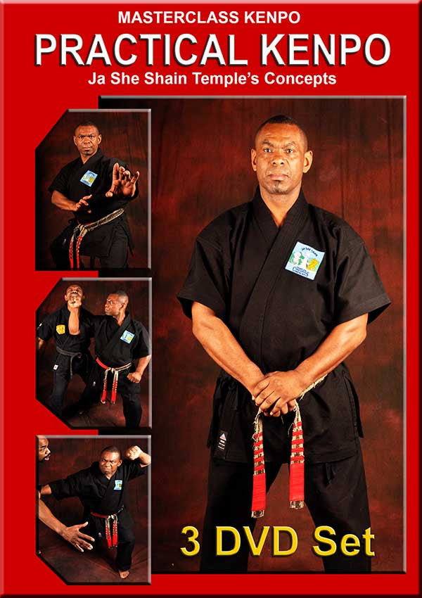 Masterclass Kenpo - Practical Kenpo 3 DVD Set by Robert Temple - Budovideos Inc