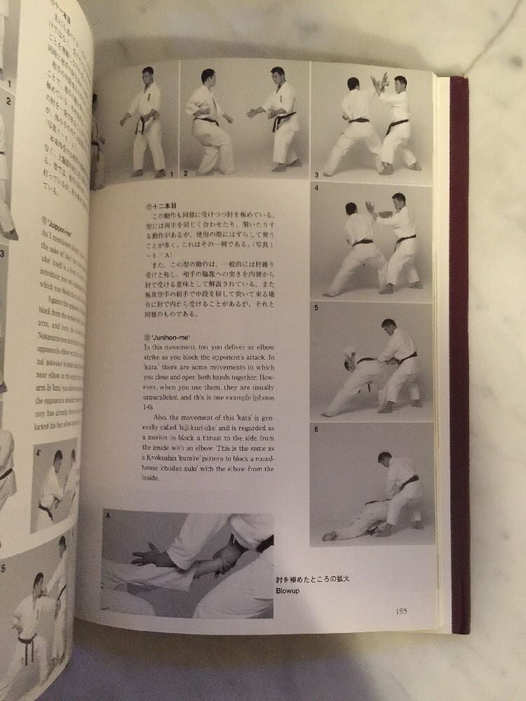 Gokui Secret Principles Of Karate Book By Hatsuo Royama (Preowned) - Budovideos Inc