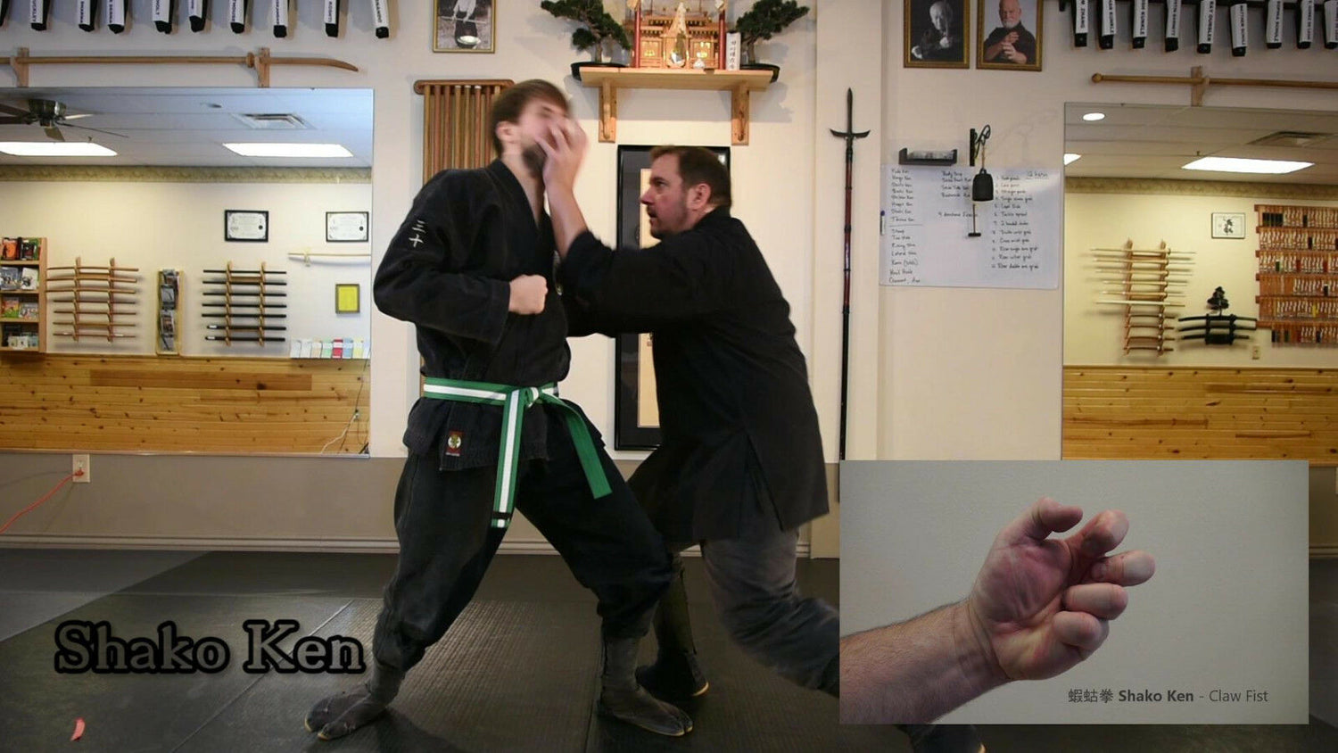 Striking the Tree Ninjutsu Self Defense DVD with Todd Norcross - Budovideos Inc