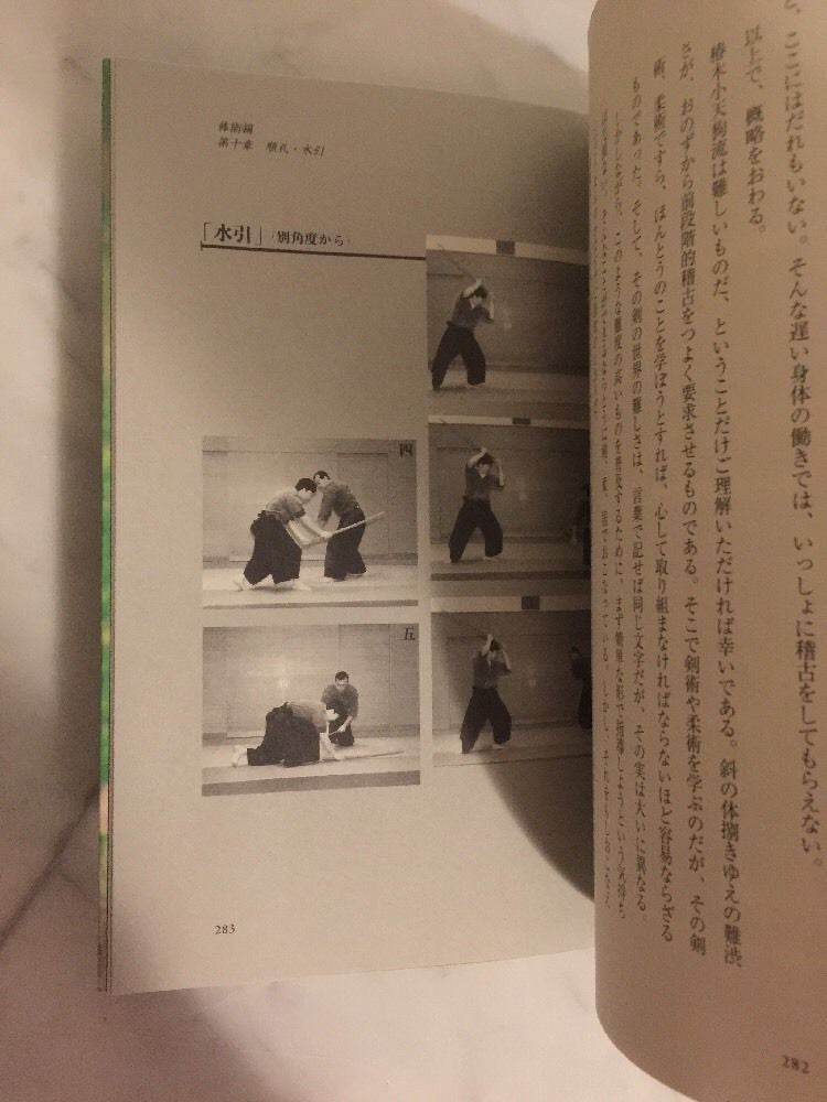 Ki Ken Tai Ichi Book 3 by Tetsuzan Kuroda (Preowned) - Budovideos Inc