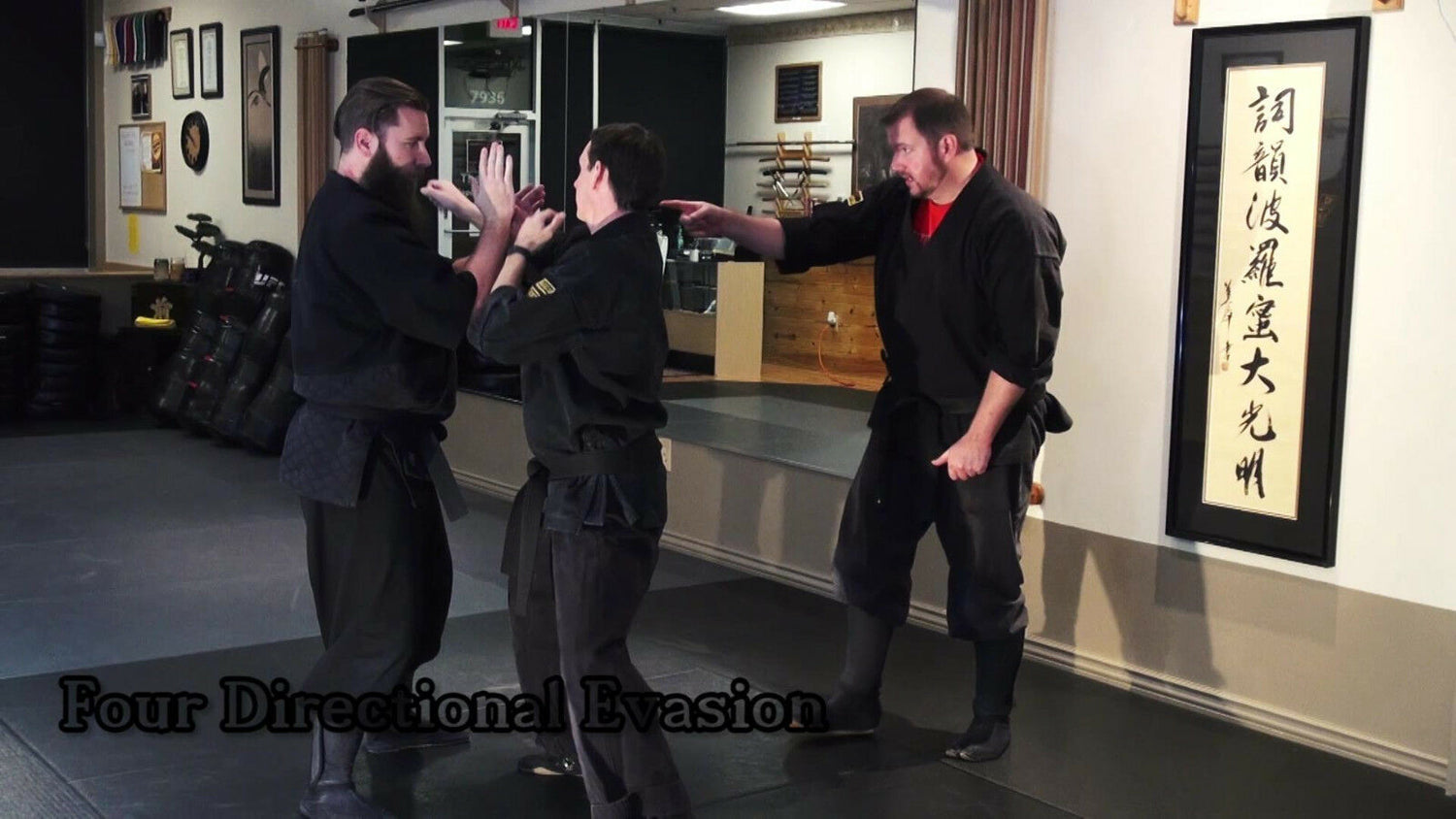Striking the Tree Ninjutsu Self Defense DVD with Todd Norcross - Budovideos Inc