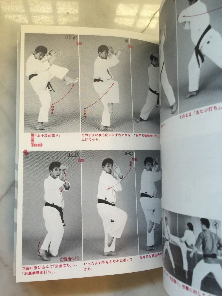 Real Karate Book By Terutomo Yamazaki (Preowned) - Budovideos Inc