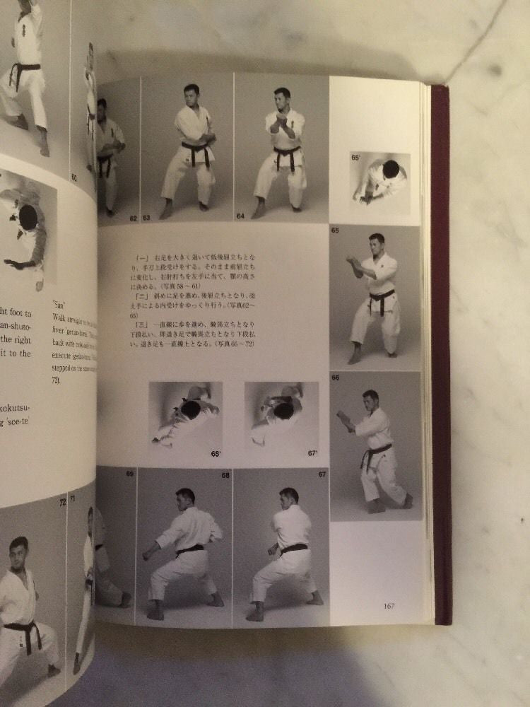 Gokui Secret Principles Of Karate Book By Hatsuo Royama (Preowned) - Budovideos Inc