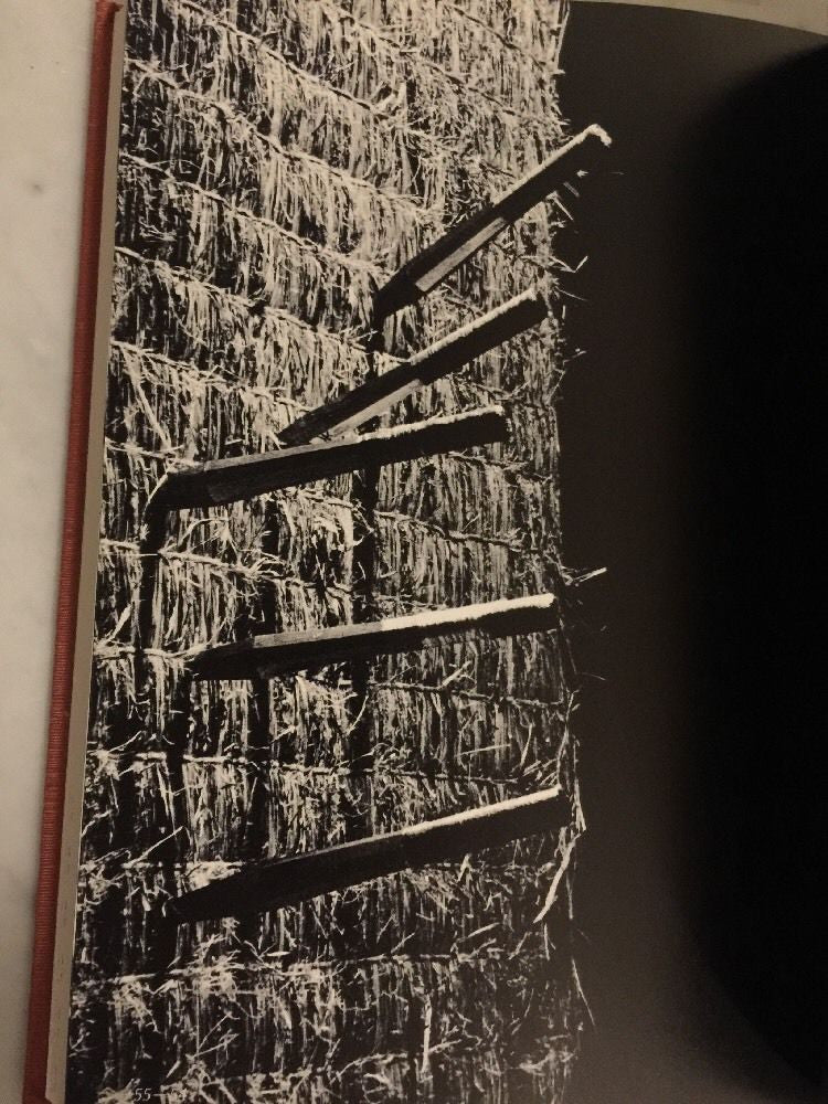 Nihon no Budo Book 11: Ninjutsu Jodo Shuriken (Preowned) - Budovideos Inc