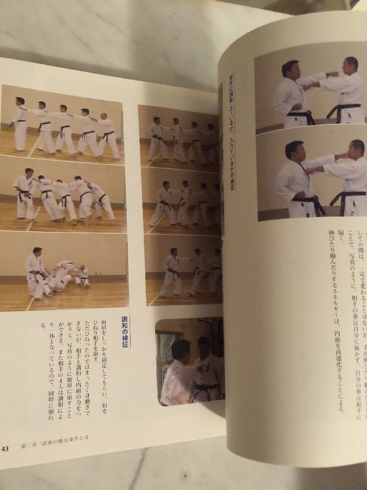 Bujutsu o Ikasu Karate Book by Kenji Ushiro (Preowned) - Budovideos Inc