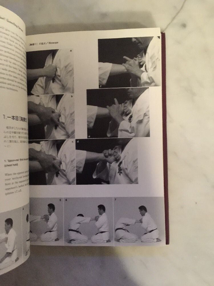 Gokui Secret Principles Of Karate Book By Hatsuo Royama (Preowned) - Budovideos Inc