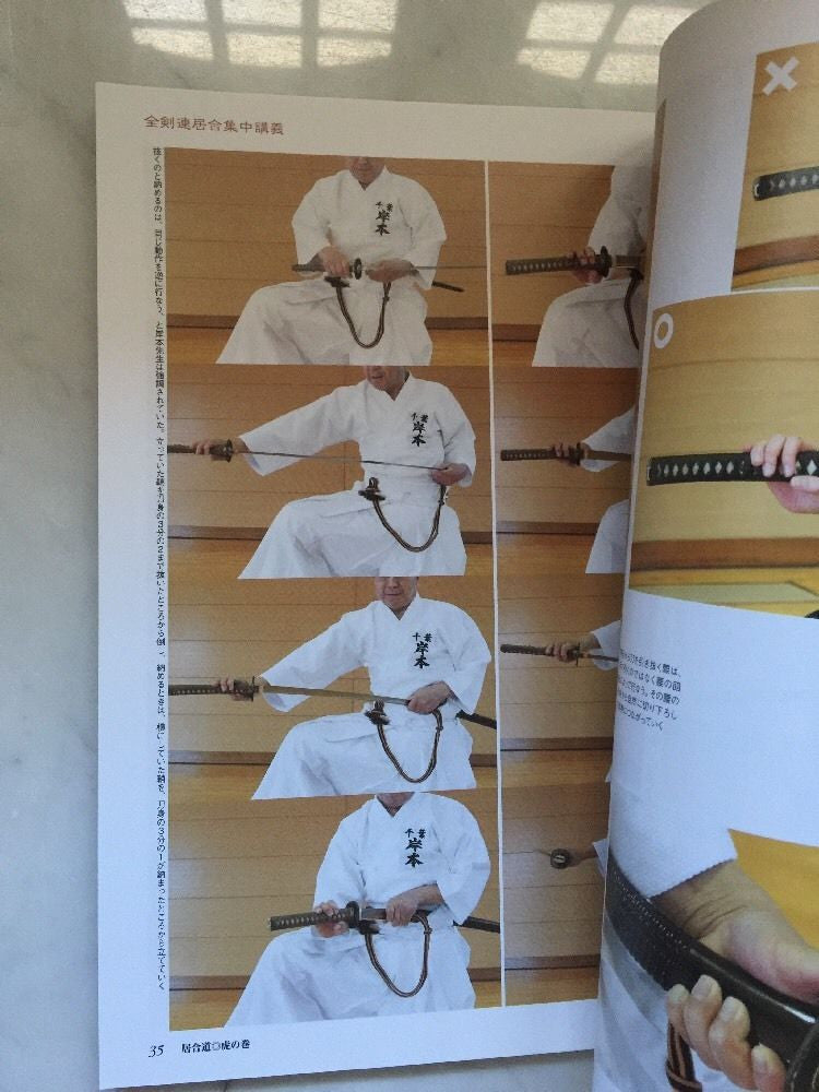 Iaido Tora No Maki Book 3 (Preowned) - Budovideos Inc