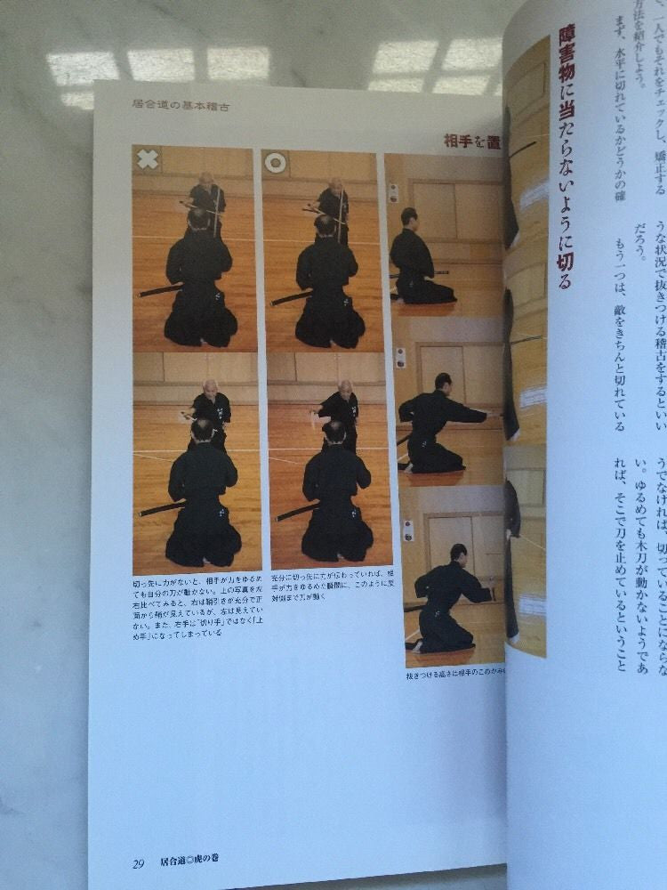 Iaido Tora No Maki Book 2 (Preowned) - Budovideos Inc