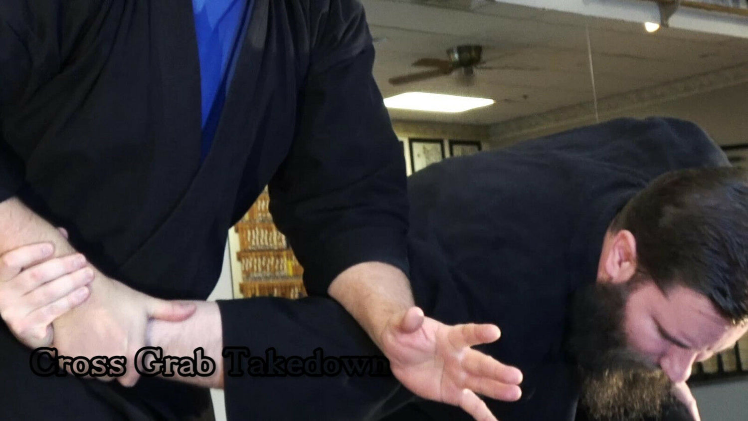 Striking the Tree Ninjutsu Self Defense DVD with Todd Norcross - Budovideos Inc