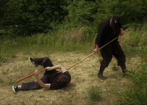 Naginata Pole Arm of Power DVD with Todd Norcross - Budovideos Inc