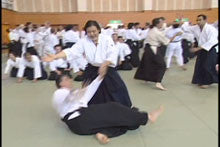 10th International Aikido Federation (IAF) Congress 2 DVD Set - Budovideos Inc