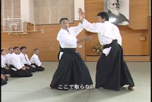 10th International Aikido Federation (IAF) Congress 2 DVD Set - Budovideos Inc