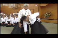 10th International Aikido Federation (IAF) Congress 2 DVD Set - Budovideos Inc
