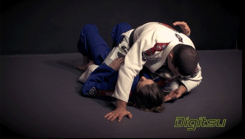 The Complete Champion Part 1 DVD by Augusto Tanquinho Mendes - Budovideos Inc