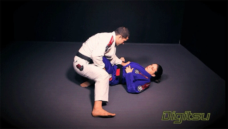 The Complete Champion Part 1 DVD by Augusto Tanquinho Mendes - Budovideos Inc