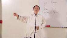Learn the Scientific Foundation of Qigong DVD by Dr Yang, Jwing-Ming - Budovideos Inc