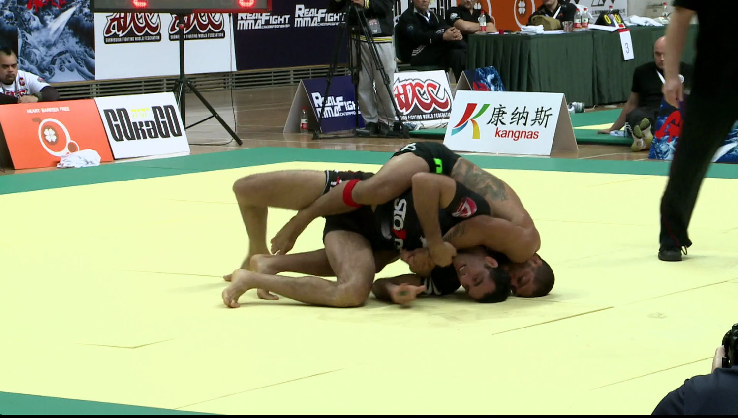 ADCC 2013 Complete 7 DVD Set - Budovideos Inc