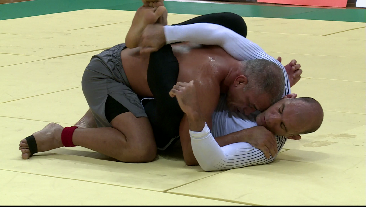 ADCC 2013 Complete 7 DVD Set - Budovideos Inc