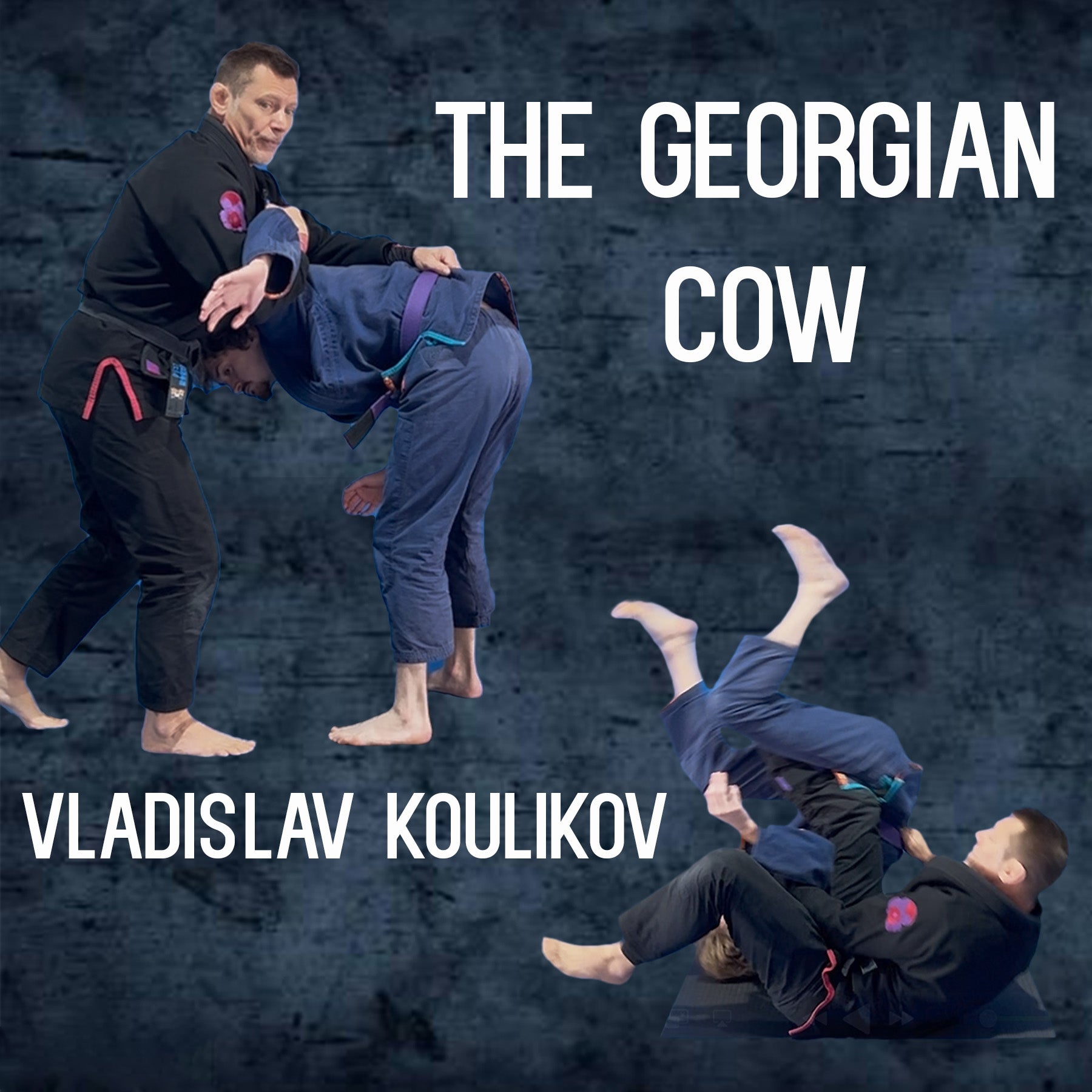 Budovideos - 武道、BJJ ギア、DVD のリーダー! – Budovideos Inc