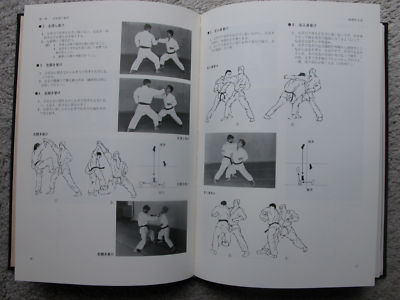 Nihon Den Jujutsu Book by Minoru Mochizuki (Hardcover) (Preowned)