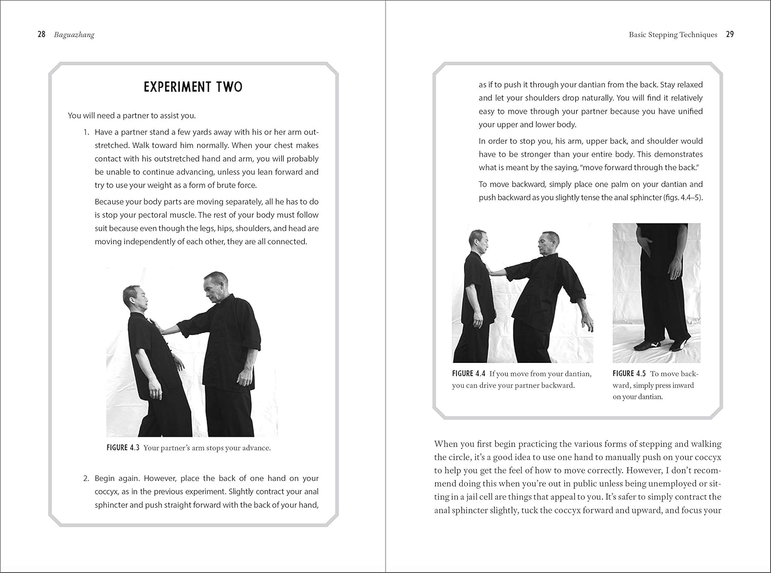 Baguazhang: Fundamentals, Applications, and Footwork Book by Phillip Starr