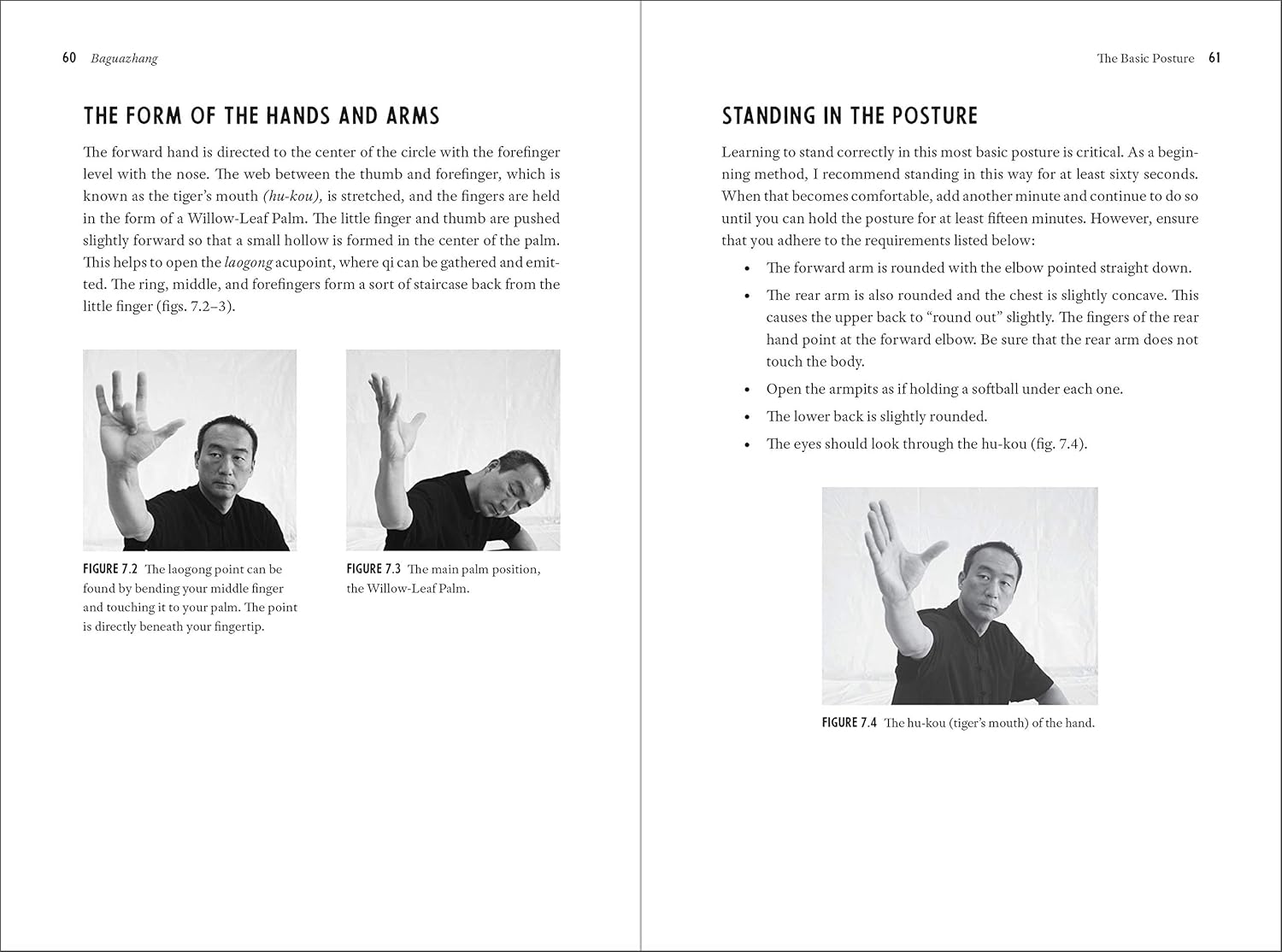 Baguazhang: Fundamentals, Applications, and Footwork Book by Phillip Starr