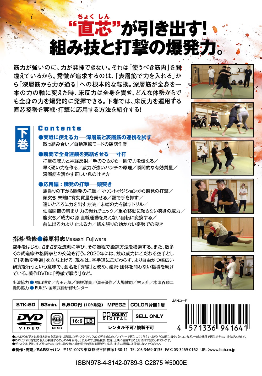 Shutetsu Method: Unlocking Impact Without Tension Vol 2 DVD by Masashi Fujiwara