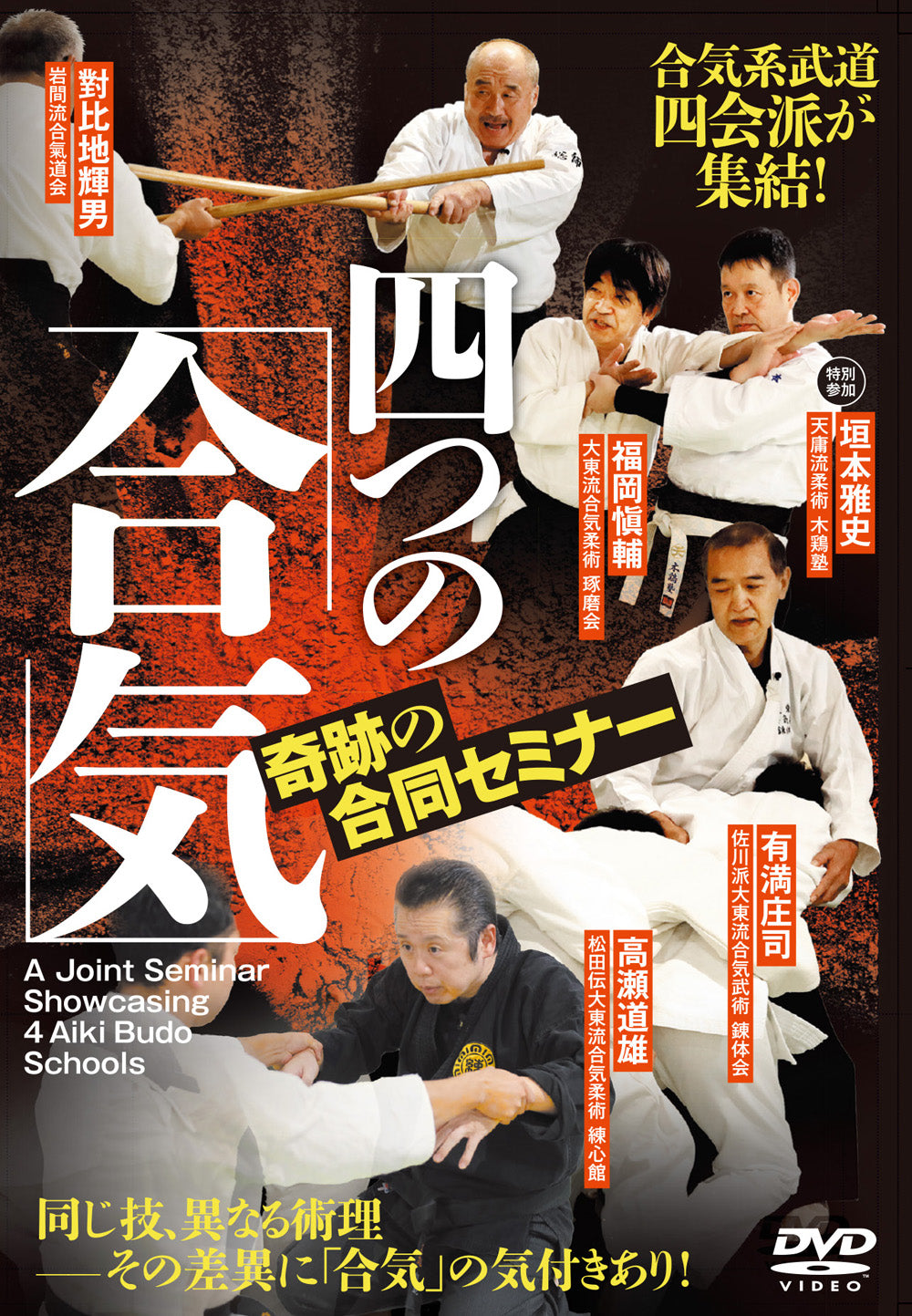 4 Types of Aiki: A Joint Seminar Showcasing 4 Aiki Budo Schools DVD