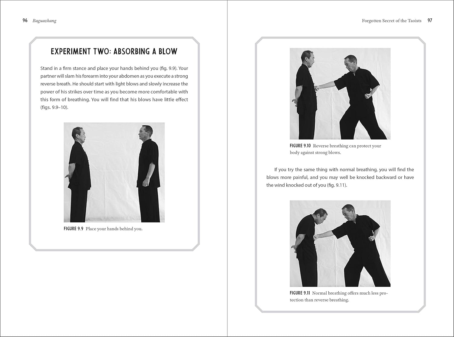 Baguazhang: Fundamentals, Applications, and Footwork Book by Phillip Starr