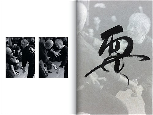 Bujinkan Dojo Art Limited Edition Book by Masaaki Hatsumi
