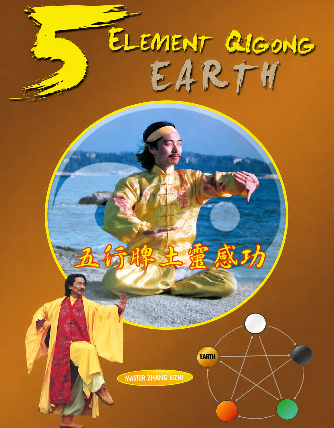 DVD de Qigong de 5 elementos: Tierra (estómago/bazo) de Yuanming Zhang (usado)